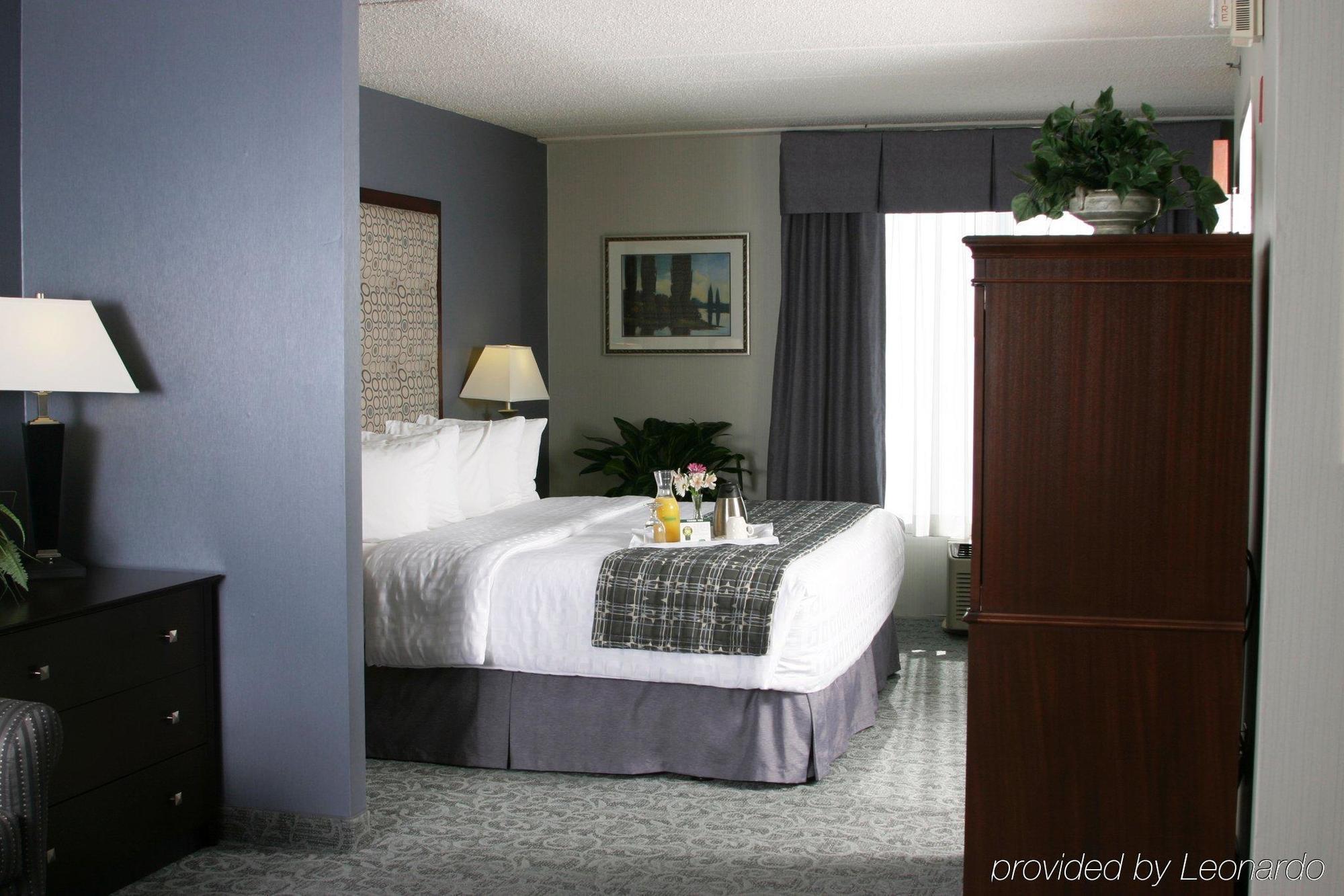 Holiday Inn & Suites Chicago-Carol Stream Wheaton By Ihg Pokój zdjęcie